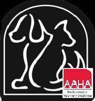 Animal medical centre, kuala lumpur. 24 Hr Animal Care Centre 1846 Victoria Avenue East Regina Reviews And Appointments Topvet