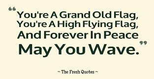 22 Patriotic Flag Quotes with Images - Quotes and Sayings via Relatably.com