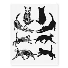 He did not identify who drew the illustrations that were included. Skeleton And Shadows Temporary Tattoos Zazzle Com Cat Tattoo Designs Cat Skeleton Skeleton Drawings