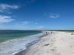 Not that i saw.i went to the beach, but i'm sure you could ask around and find some excellent camping areas. Cayo Costa State Park Boca Grande Aktuelle 2021 Lohnt Es Sich Mit Fotos Tripadvisor