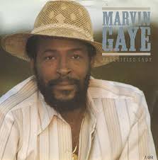 Pure soul Marvin Gaye