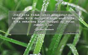 Kata kata bijak, motivasi & mutiara tentang cinta, romantis, kehidupan, semangat, inspirasi, buat pacar, singkat lucu, islam, bahasa inggris, jawa, belajar. 45 Kata Kata Rumput Jagokata