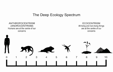 The Environmental Philosophy Spectrum: Anthropocentrism vs. Ecocentrism, AI generated