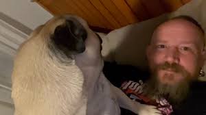 How to tell if your pug really loves you!!!