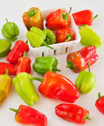 Greek style stuffed bell peppers. Cajun Belle Pepper Mild Sweet Flavor With A Kick