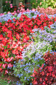 We have a massive amount of hd images that will make your. Flower Garden Background Stock Photos Freeimages Com