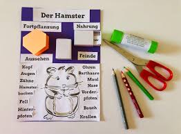 Weitere ideen zu lapbook vorlagen, vorlagen, lapbook ideen. Projekt Haustiere Lapbook Hamster Link Und Materialsammlung Fur Lehrer Auf Lehrerlinks Net