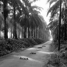 Sungai ara also borders relau to the north and bayan baru to the east. Kampung Sungai Kayu Ara 47400 Petaling Jaya Home Facebook