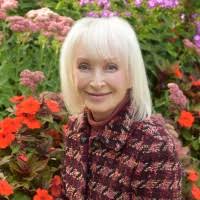 800+ "Deborah Stein" profiles