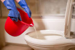 Toilette spülen ohne fließendes Wasser: So einfach geht´s ...