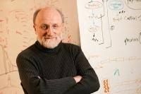 Chris Sander, Director