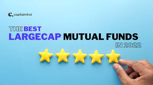 11 Best Performing Large Cap Mutual Funds In India For 2024