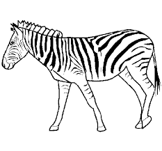 A imagem vetorial desenho animado bonito zebra colorir página vetor. pode ser usada para fins pessoais e comerciais de acordo com as condições da licença adquirida sem royalties. Desenho De Zebra Para Colorir Colorir Com