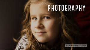 What is Silver Crane Studios?