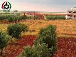 السهول المحيطة ببلدة ام ولد 45كم شمال شرق مدينة درعــا country roads outdoor farmland