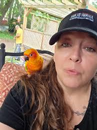 There's currently about 6-8 parrots