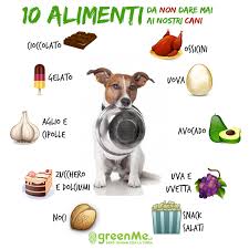 Alimenti consigliati e alimenti da evitare se si è diabetici. 10 Alimenti Da Non Dare Mai Ai Nostri Cani Greenme