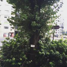 2016年09月: YUU MEDIA TOWN＠Blog Archives