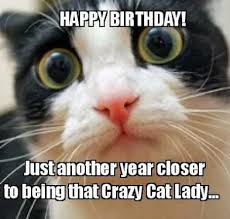 Crazy Cat Lady Happy Birthday Happy Birthday Cat Cat Birthday Memes Birthday Quotes Funny