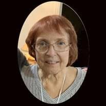Suzanne M. Diekelman Obituary (2024)