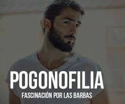 Create dynamic edits, curate your gallery and immerse yourself in inspiring  and motivating content.