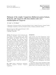 Image result for Rytigynia monantha