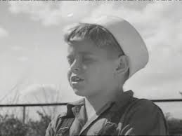 70 Adult Woman Sewing Quilt Stock Videos, Footage, & 4K Video Clips