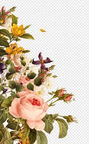 Bunga, perbatasan bunga indah, perbatasan bunga merah muda dan kuning, perbatasan, lukisan cat air. Wunderlandelementblume S Schoner Fruhlingsblumenblock Wunderschonen Schones Clipart Strauss Png Pngwing