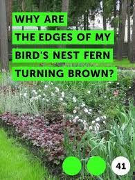 Pin On Growing Plants