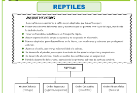 1 archivador con 50 hojas de papel bond por materia. Problemas De Biologia Para Segundo De Secundaria Recursos 2021