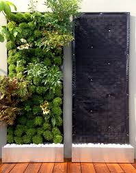 Vivit Die Pflanzenwand Fur Jeden Urban Garden Pflanzenwand Pflanzen Wand