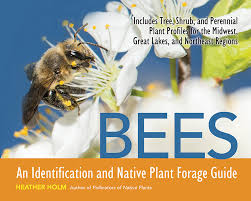 Native minnesota flowers for bees. Bee And Pollinator Books By Heather Holm Attract Observe And Identify Pollinators And Beneficial Insects With Native Plants