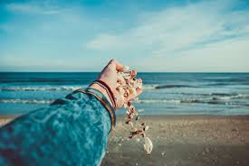 Sanibel Island Shelling Tips And Tricks Sandalfoot Condos