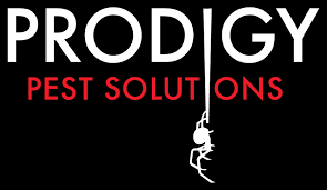 Our staff is friendly and we only suggest products that are suited to your application. Pest Control Bradenton Fl Pest Control Near Me Prodigy Pest Solutions