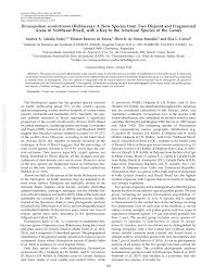 Image result for Hexasepalum sarmentosum