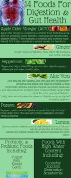 Pin By Luz Amin On Organicishealthy Food For Digestion Gut Health Holistic Healthy