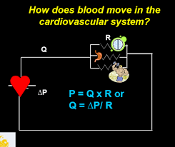 Hemodynamic Ohms Law Flashcards Quizlet