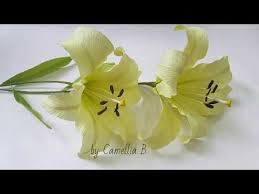 Pin On Paper Flowers