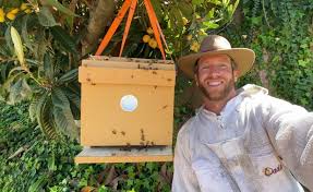 South Bay Bee Removal