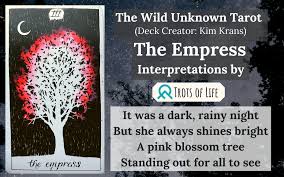 The basic tarot symbols for this card are the gown decorated with pomegranates, a crown of twelve. The Empress The Wild Unknown Tarot Card Meanings Trots Of Life