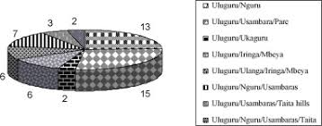 Image result for Dissotis longisepala