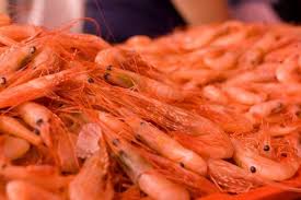 It can be as basic as shrimp shells and water for a quick light stock. Canada Shrimp Decline May Halt Industrial Product S Return To Market Coldwater Shrimp British Columbia Canada Pho Shrimp Farming Shrimp Cooking