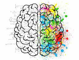 Die emotionale intelligenz ist die grundlage dafür, menschen besser zu verstehen und empathischer zu. Warum Ist Emotionale Intelligenz Wichtig Life Coaching