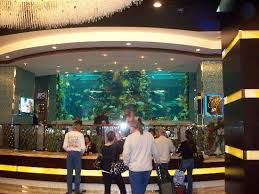 Chart House 70 000 Gallon Fish Tank Picture Of Golden