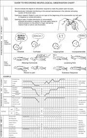 Problems In The Injured Patient Clinical Gate