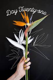 Day 21 How To Draw A Bird Of Paradise The House That Lars Built Paradise Painting Flower Drawing Birds Of Paradise Flower