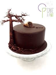 Gateau Baobab Madagascar Chocolat Gateau Personnalise Cake Design Gateau
