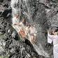 Mt. Inunaki Trekking and Waterfall Training event image