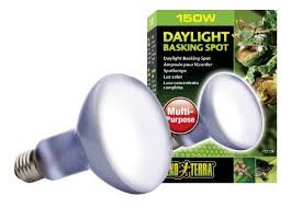 7 56 12 99 Exo Terra Sun Glo Basking Spot Lamp 150 Watt 120 Volt The Exo Terra Sun Glo Neodymium Daylight Basking Spot Reptile Lights Uva Light Heat Lamps