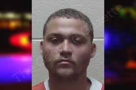 Michael Batchelor — Haralson County Jail Bookings